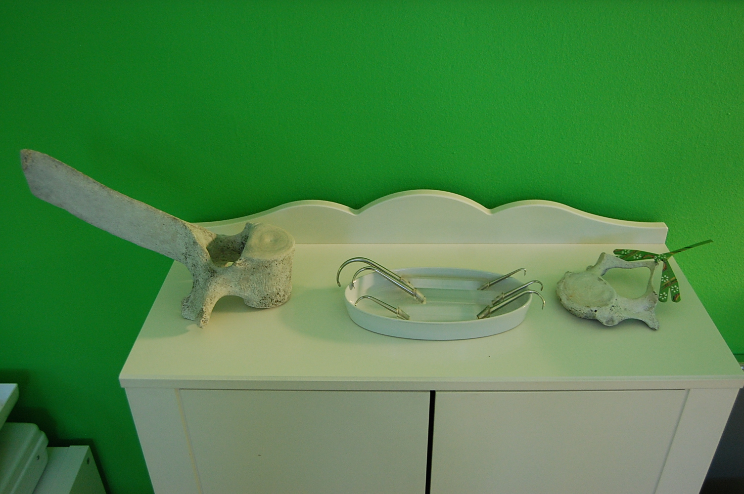 VERTEBRE STUDIO